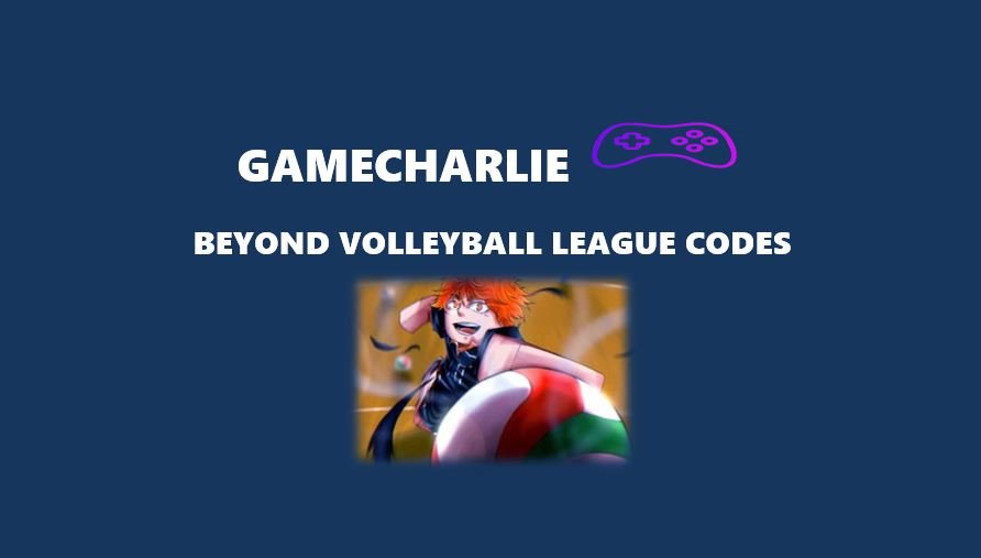 Beyond Volleyball League Codes